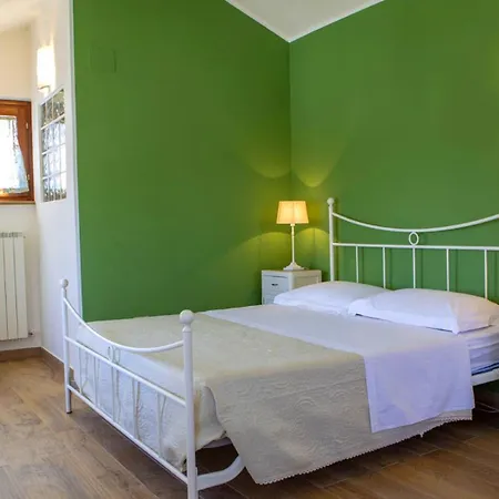 Domus - Teloni * 몬테지오르지오